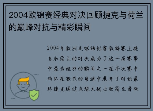 2004欧锦赛经典对决回顾捷克与荷兰的巅峰对抗与精彩瞬间